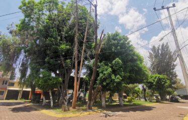 Se Vende Preciosa Casa en Fraccionamiento Bosques de Aragón